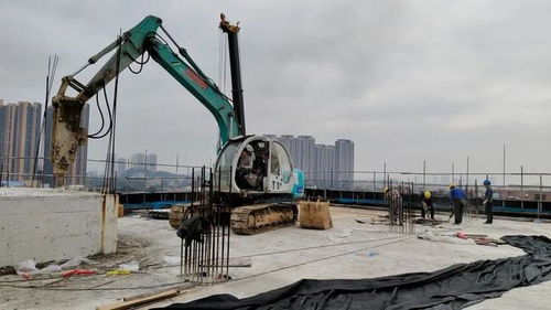 两违系列报道 违建必拆 —— 又一大型“两违”建筑物被依法强制拆除