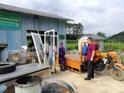 昭平十间建筑物清理纪实 拆除背后的公共安全与城市规划考量